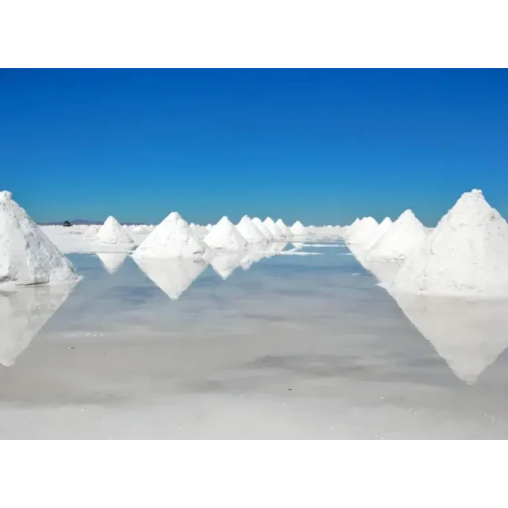 استخلاص الليثيوم عن طريق التعويم من موارد المحلول الملحي للبحيرات المالحة