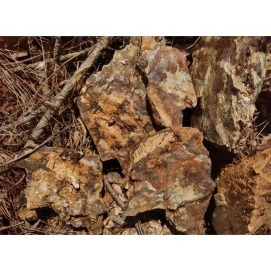 اختبار معالجة خام الذهب المؤكسد