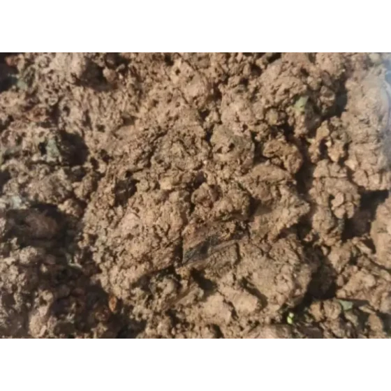 اختبار الاستفادة من أوحال خامات الأكسيد الفلزية