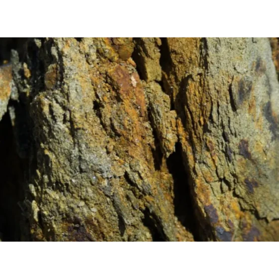 اختبار استخلاص الذهب عن طريق النض بالسيانيد