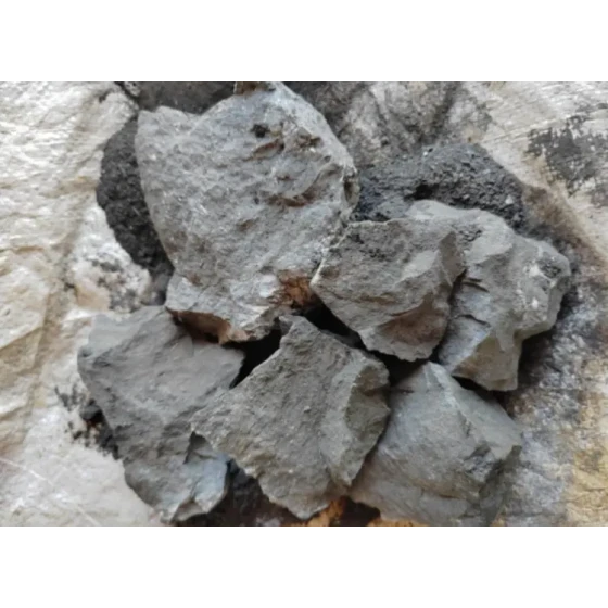 اختبار المعالجة المعدنية لخام الذهب عالي الكبريت