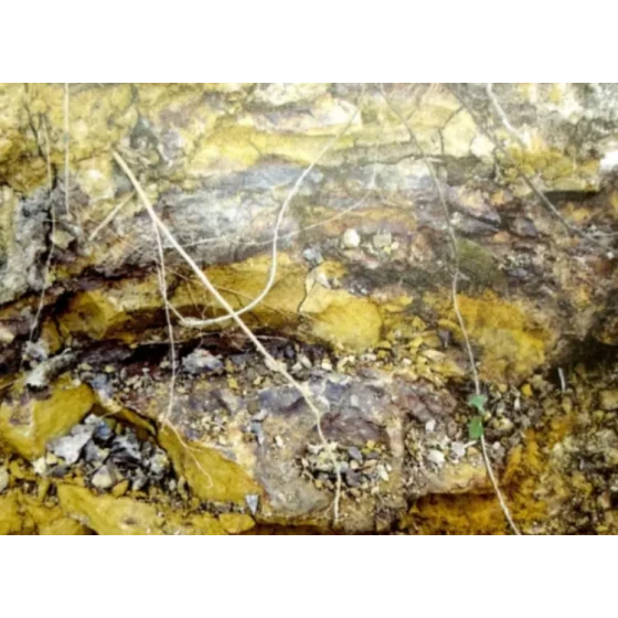 اختبار عملية النض للخامات المصاحبة الحرارية المصاحبة