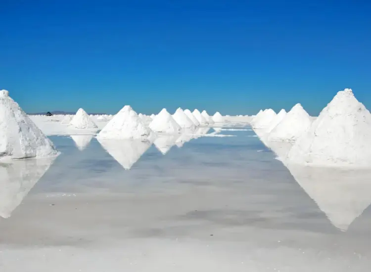 استخلاص الليثيوم عن طريق التعويم من موارد المحلول الملحي للبحيرات المالحة