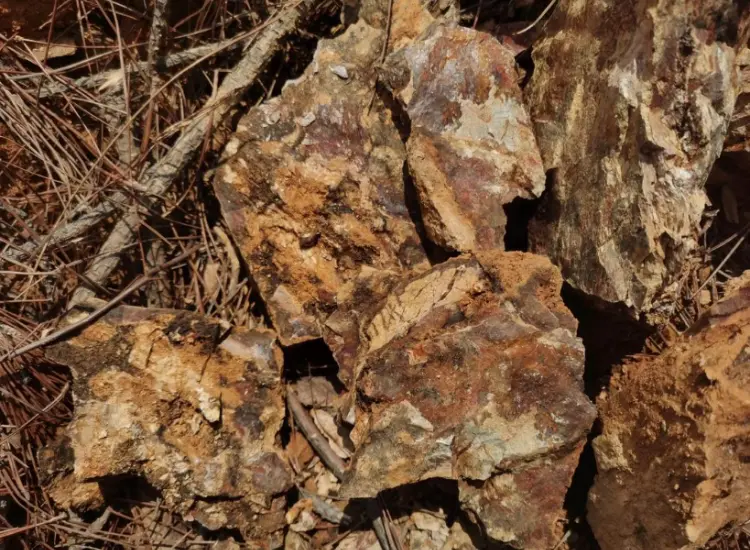 اختبار معالجة خام الذهب المؤكسد