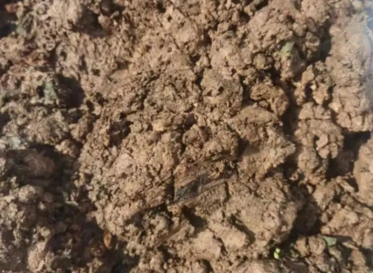 اختبار الاستفادة من أوحال خامات الأكسيد الفلزية