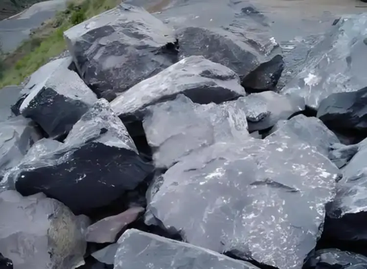 اختبار الاسترداد من مخلفات الذهب الكربوني