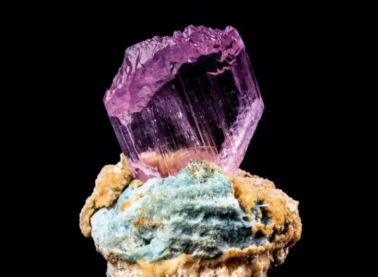 اختبار تعويم السبودومين