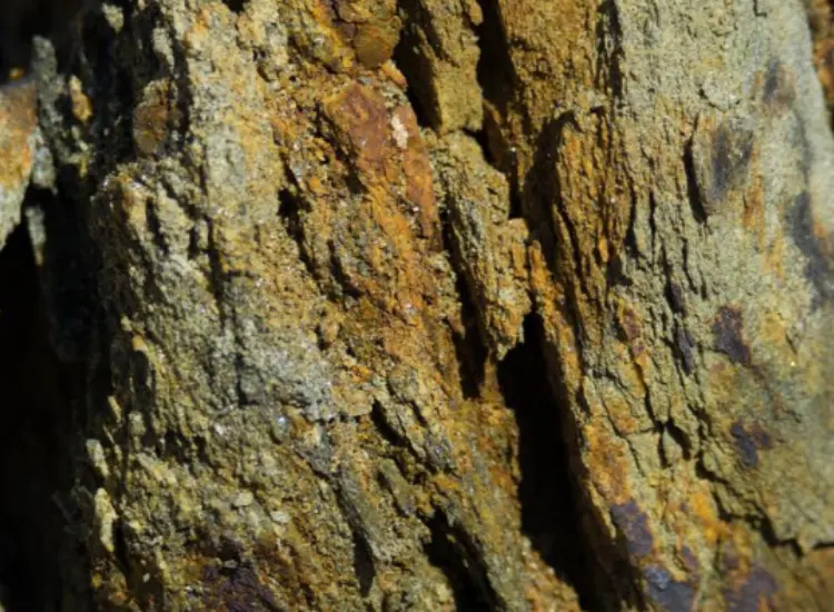 اختبار استخلاص الذهب عن طريق النض بالسيانيد