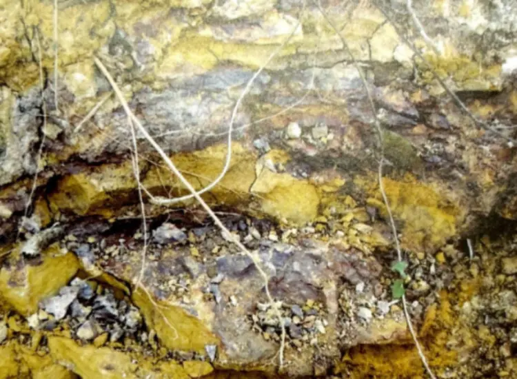 اختبار عملية النض للخامات المصاحبة الحرارية المصاحبة