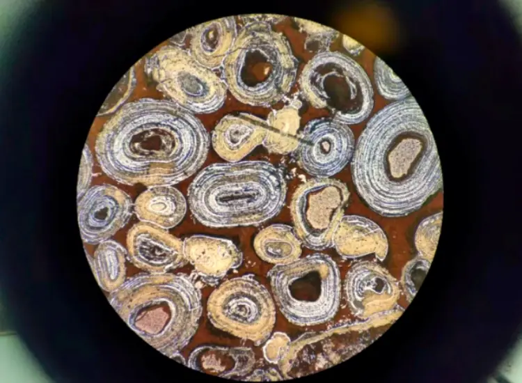 اختبار إزالة الفسفرة ونزع الفسفرة من الهيماتيت الأوليتي